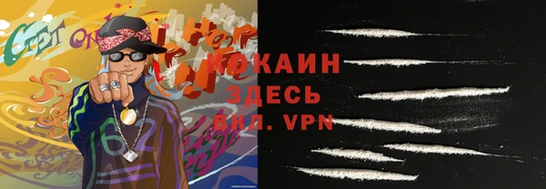 тгк Бородино