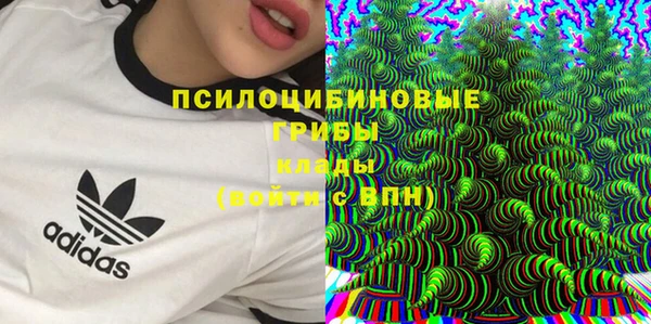 тгк Бородино