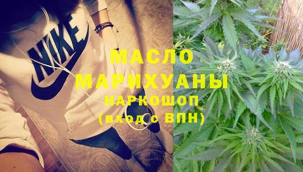 тгк Бородино