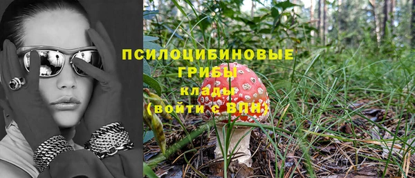тгк Бородино