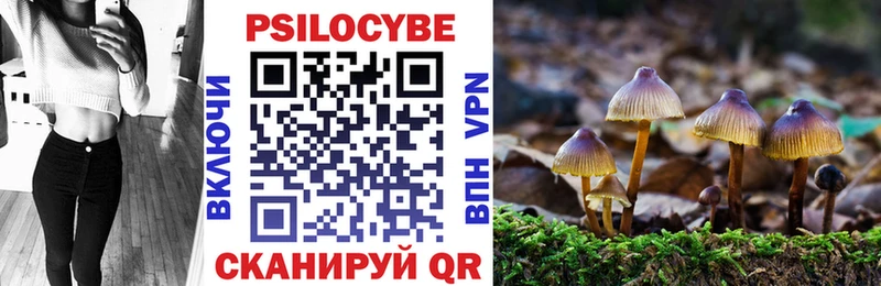 Псилоцибиновые грибы MAGIC MUSHROOMS  где найти   MEGA ТОР  Кизел 
